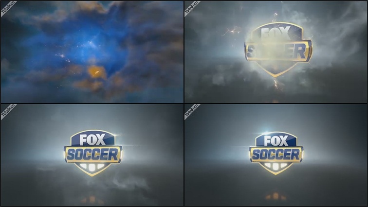 Fox Soccer Logo by Important Looking Pirates-国际案例