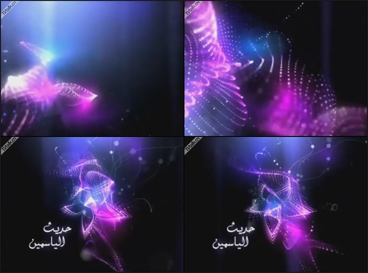 Jasmine Opening Title by Lemez and Fridel TV-国际案例