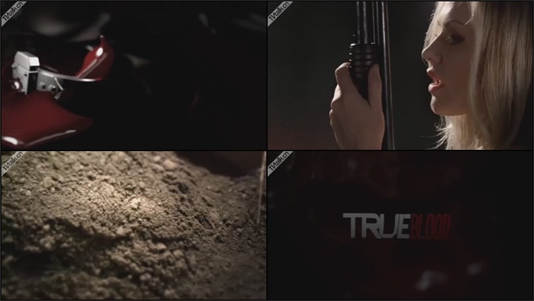 HBO True Blood FC Cut by favoritecolor-国际案例