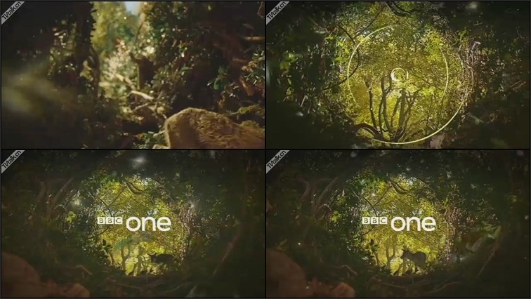 BBC One ident - The Magic Forest by Gregory Millar-国际案例