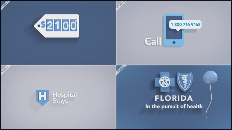 Blue Cross Blue Shield of Florida “Easy and Affordable”by NATL-国际案例