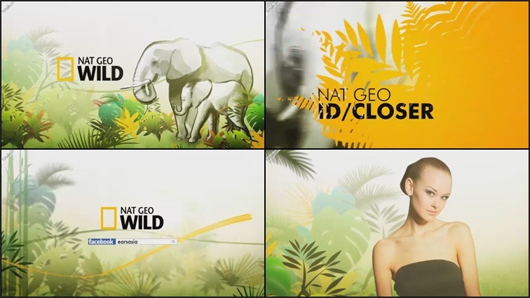 Nat Geo ID pakcage (Ear Campaign)by Hey Birdy Lab-国际案例