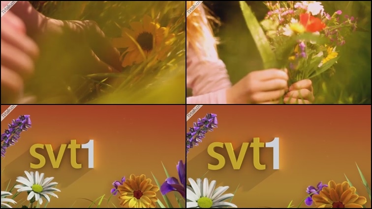 SVT1_ID_Flowers by trollback-国际案例