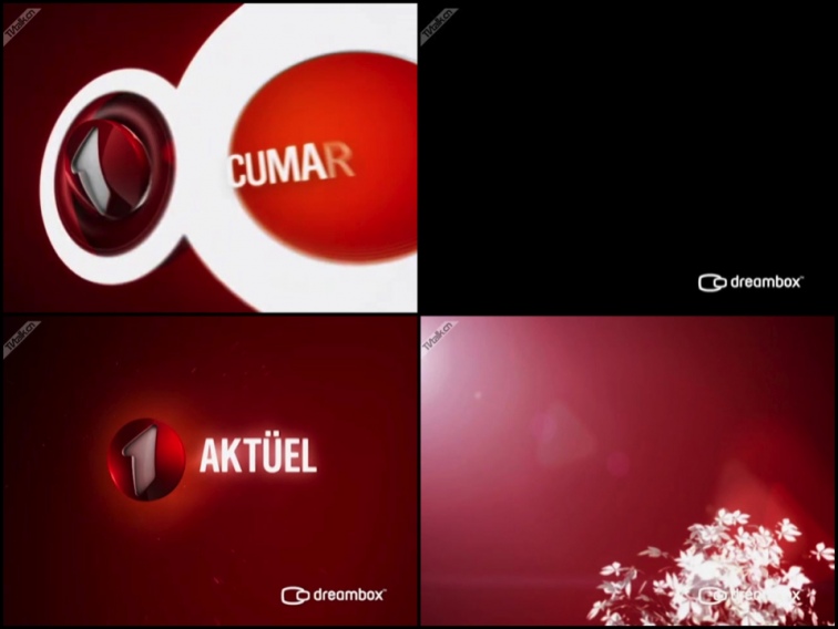 KANAL 1 - TV Branding Package (2008) from dreambox-国际案例