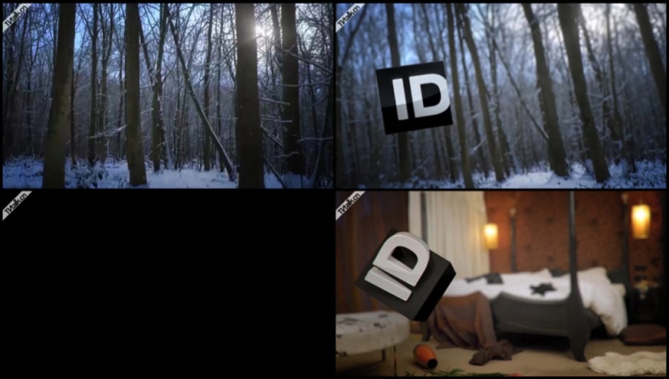 ID channel Idents Discovery Channel - Woods & Room from Dan Andrew-国际案例