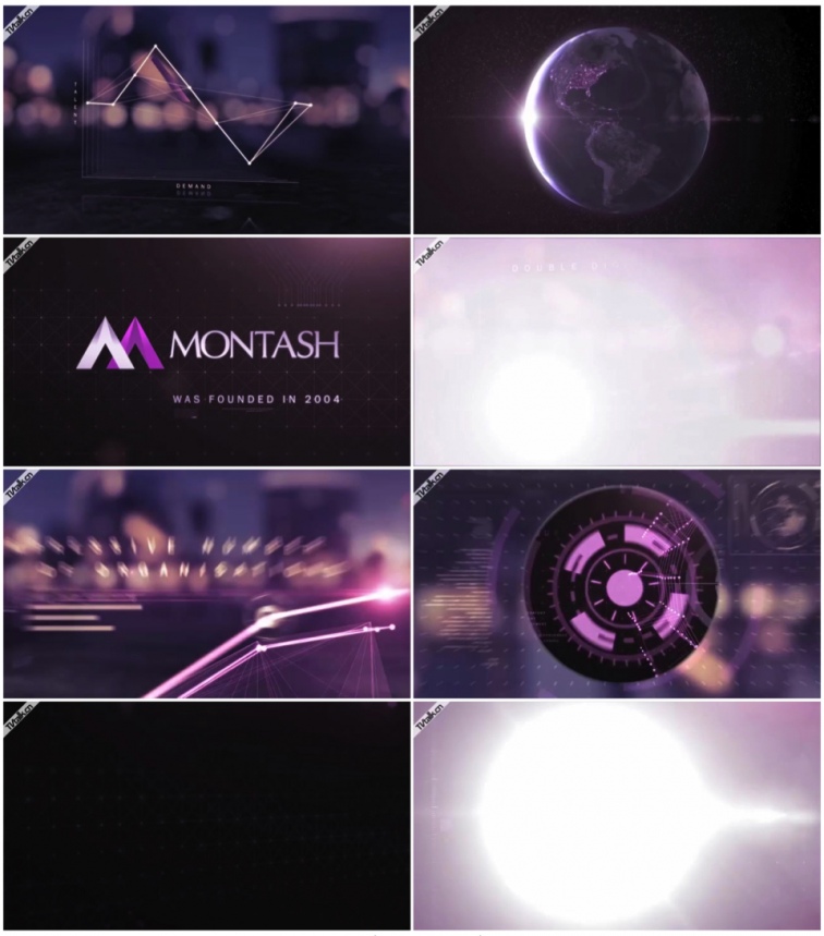 Montash Web Video-国际案例