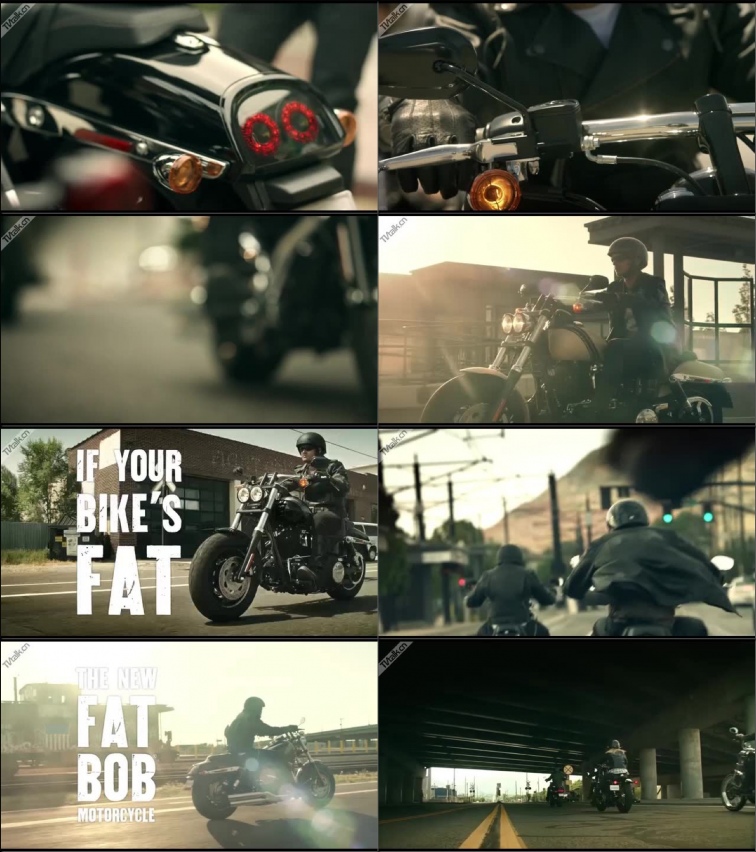 Harley-Davidson ‘Fat Bob’-国际案例