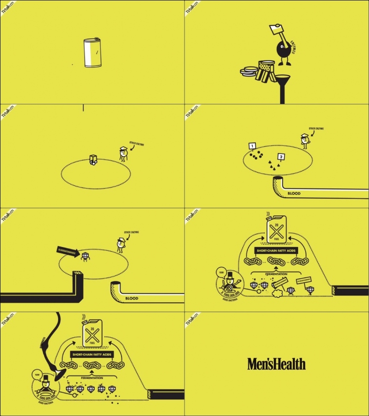 Men's Health -- How a Bean Becomes a Fart from Giant Ant-卡通-国际案例