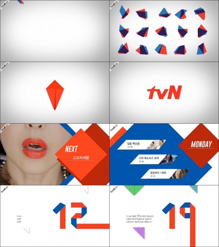 TVN - CHANNEL ID PACKAGE-娱乐-国际案例