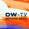 DW-TV Journal /english-pockett-国际案例