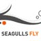 SEAGULLSFLY REEL2007-国际案例