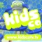 kidsco waterslides /smithereen-国际案例