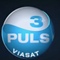 TV3 Puls Logoanim frame-国际案例