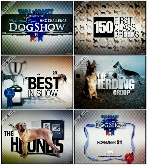 Dog Show Promo/foxsportsdesign-国际案例