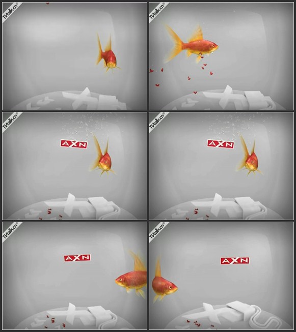 AXN Goldfish by Factory Creative Studio-国际案例