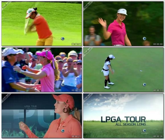 2011 LPGA IMAGE-国际案例