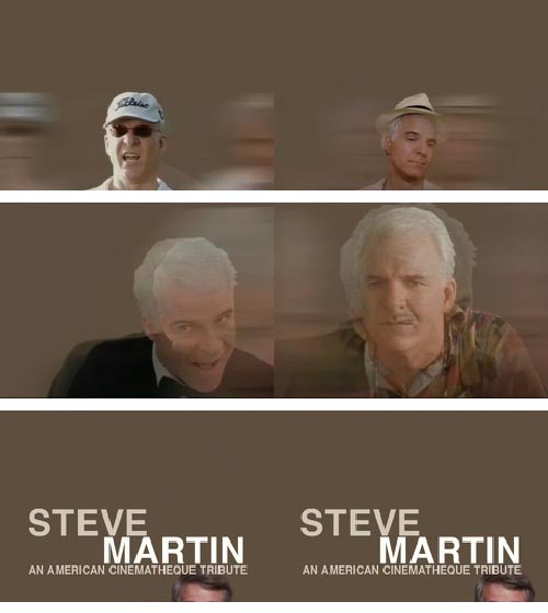 STEVE MARTINh-国际案例