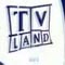 TV land-国际案例