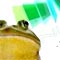 frog_logo.jpg