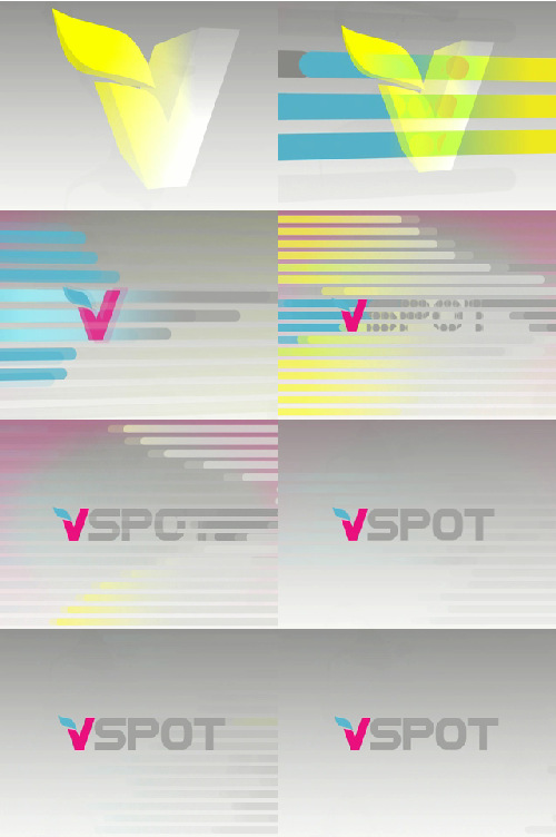 vspot-国际案例